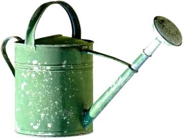 an old green watering can with a metal handle