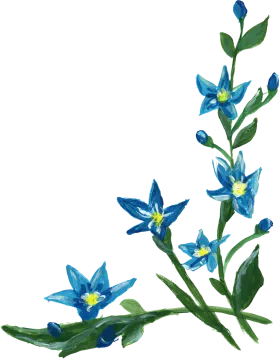a blue flower on a white background