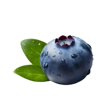 a close up of a blueberry with a leaf
