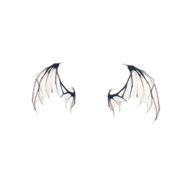 a pair of wings on a white background