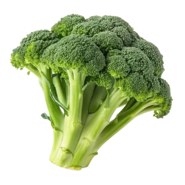 a close up of a piece of broccote