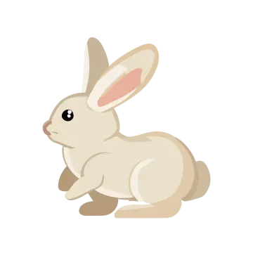 a white rabbit sitting on the ground