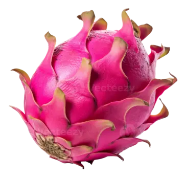 dragon fruit on a white background