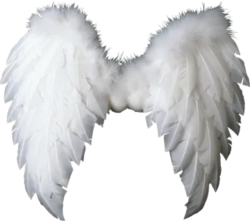 a pair of white wings on a white background