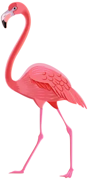 a pink flaming standing on its hinds