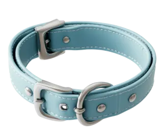 a light blue leather dog collar with white stitching