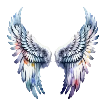 a pair of wings on a white background