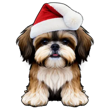 a small dog wearing a santa hat