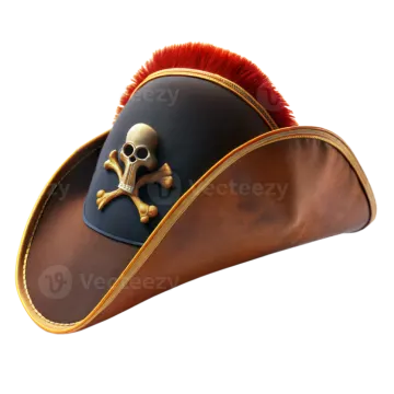 a pirate hat with a skull on it