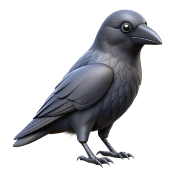 a black crow sitting on a white background