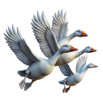 two white birds flying in the air