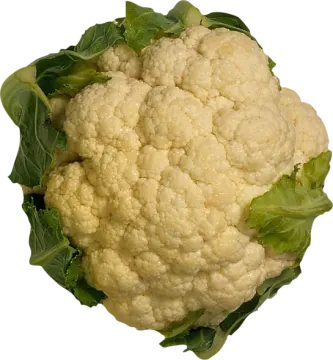 a piece of caulide