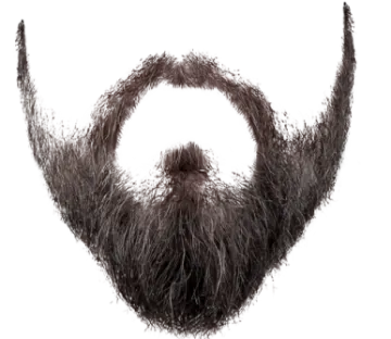 an image of a man's hair and beard