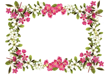 a floral frame with pink flowers and green leaves