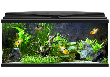 a fish tank with plants and rocks in it