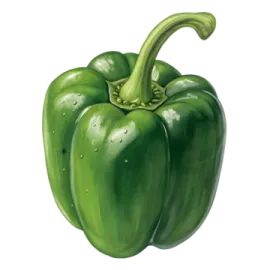 a green pepper on a white background