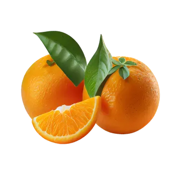 two oranges with leaves on a white background