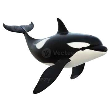 a black and white orca whale floating in the air