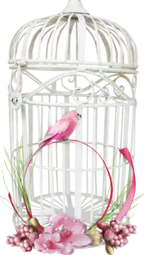 a white bird in a cage with pink flowers