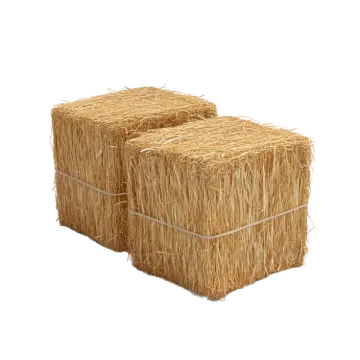 two hay bales on a white background