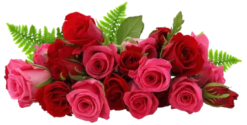 a bunch of red roses with green leaves