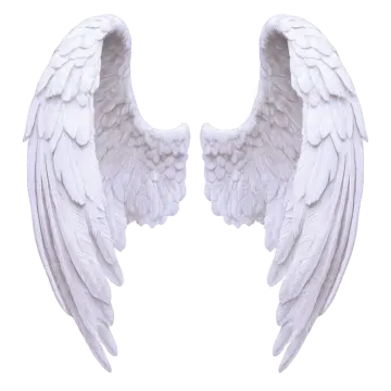 two white angel wings on a white background