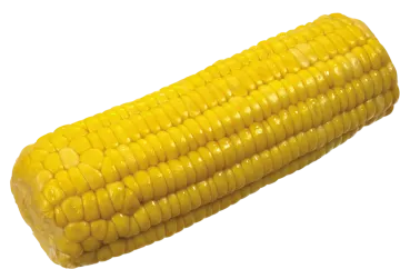 a piece of corn on a white background