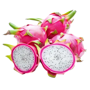 dragon fruit on a white background