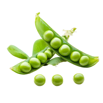 green peas on a white background