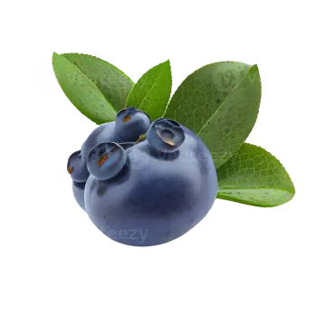 blueberries with leaves on a white background