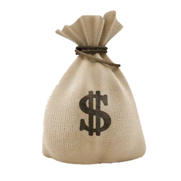a money bag with a dollar sign on it
