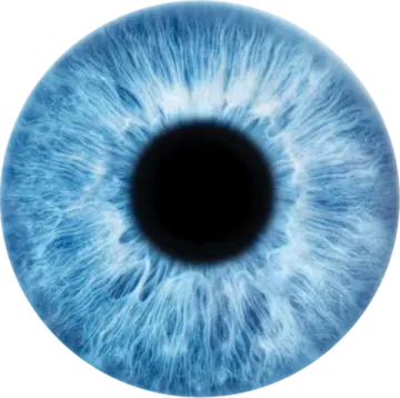 an image of a blue colored eye