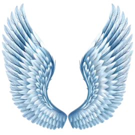 a pair of wings on a white background