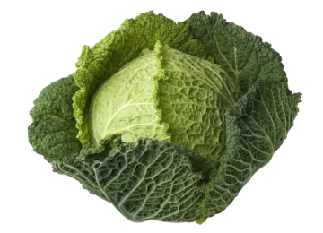 a head of cabbage on white background