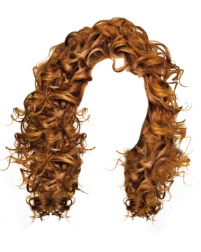 a curly wig on a white background