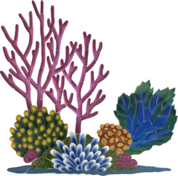 a group of colorful corals and plants