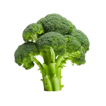 a close up of a piece of broccote