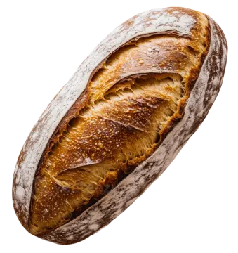 a loaf of bread on a white background