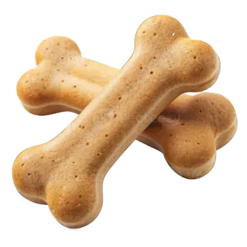 a dog bone on a white background