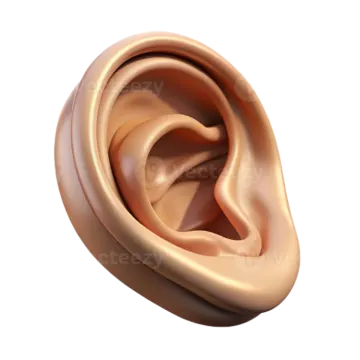a pair of gold colored metal earrings