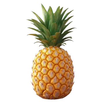 a pineapple on a white background