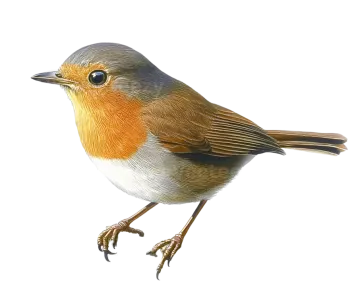 a bird sitting on top of a branch