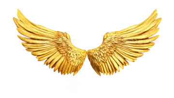 a golden angel wings on white background