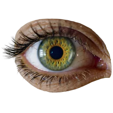 a close up of an eye with yellow iris