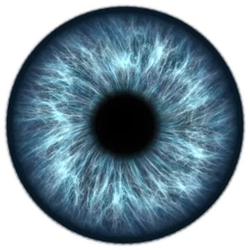 an image of a blue eye