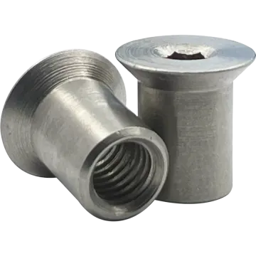 a pair of stainless steel fittings