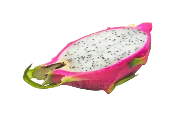 dragon fruit on a white background