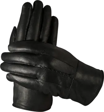 a pair of black leather gloves