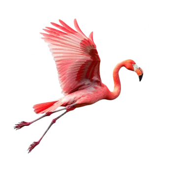 a pink flaming is flying in the air