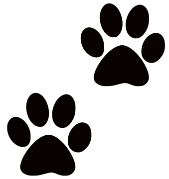 a black and white image of two paws
